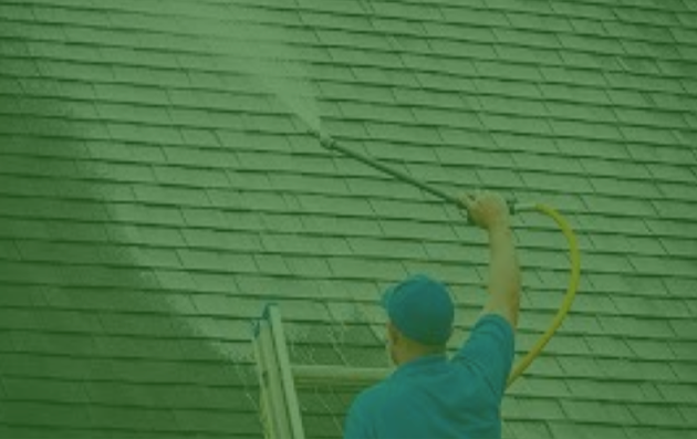 roof-washing